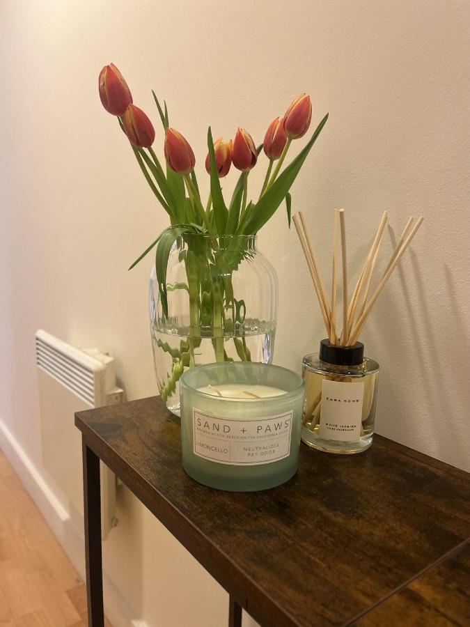 Spacious Mews Apartment, Clapham London Luaran gambar